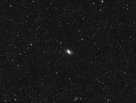 NGC4449, 2022-02-26, 19x200L, APO100Q, (CV), ZWO ASI1600MM-Cool.jpg